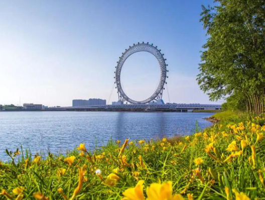 潍坊王易明.png 潍坊王易明.png